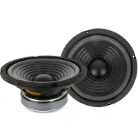 HomeShopXL Haut-parleur - HSP 003 - 8" / 200 mm - 100 / 200 W