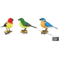VAN MANEN Jouet « Singing Bird » rouge, vert et bleu en plastique