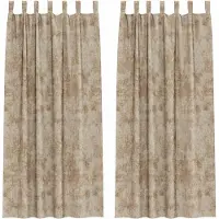 vidaXL Rideaux en velours avec tringles 2 pièces Champagne 260 x 140 cm Velours