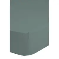 Bonjour Drap-housse Jersey 70x140/150 cm Vert brumeux