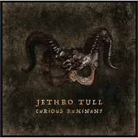 Cd Jethro Tull : Curious Ruminant -