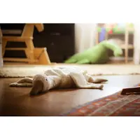 Senger Naturwelt Coussin chauffant - Grand - 80 cm - Oie - Blanc - - UneTaille - Peluche