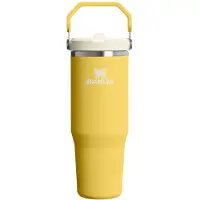 Stanley IceFlow Flip Straw 2.0 Tumbler gourde thermos en acier inoxydable Daffodil 1 pcs
