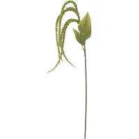 Bloomingville Foxtail (107 cm)