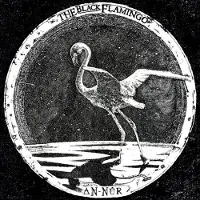 Coast2Coast Black Flamingo - An-Nur [Vinyl Lp]