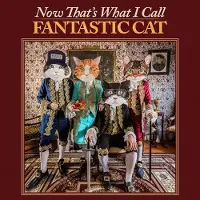 Suburban Fantastic Cat - Now That's What I Call Fantastic Cat [Vinyl Lp]