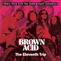 Import Brown Acid The Eleventh Trip