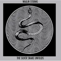 Ginza.se Wailin Storms - The Silver Snake Unfolds [Compact Discs]
