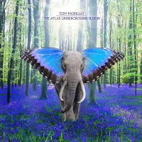 Bertus Distributie Tom Morello - The Atlas Underground Flood [Cd] With Booklet
