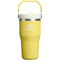 Stanley IceFlow Flip Straw 2.0 Tumbler gourde thermos en acier inoxydable Daffodil 1 pcs