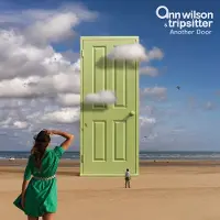 Proper S&D Consignment Ann Wilson - Another Door [Vinyl Lp]