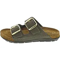 Rohde Mule or / gris foncé