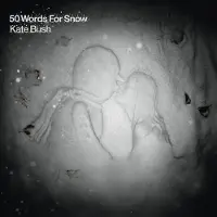 Import 50 Words For Snow