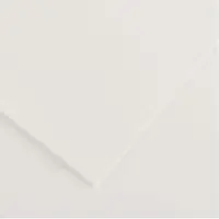 Canson Paquet de 25 feuilles Colorline 70x100cm (220 g/m², 25x)