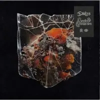 Shields CD de - Death & Connection - pour Indifférent - Standard - Taille Standard