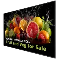 Philips 5000 series 98BDL5050D/00 Écran d'affichage dynamique 98" LCD Wifi 600 cd/m² Full HD Noir Intégré dans le processeur Android