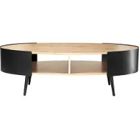 CALICOSY - Table basse ovale avec flancs en métal noir L120 cm EKLO