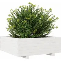 vidaXL Jardinière blanc 70x70x26,5 cm bois de pin massif