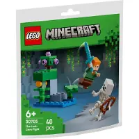 LEGO Polybag Minecraft Showdown dans la grotte luxuriante