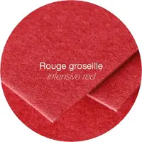 Clairefontaine Pollen DL - Papier - rouge intense - 106 x 213 mm - 210 g/m² - 25 carte(s) cartes à fibres teintées