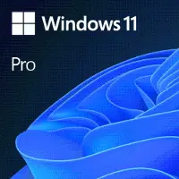 Microsoft Win 11 Pro Esd Be