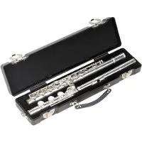 SKB 1SKB-310 - Etui Pour Flute Traversiere - Patte De Si