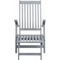 vidaXL Chaise longue avec repose-pieds Gris Bois massif Acacia