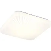 TRIO 230561142 MACKENZIE Applique murale LED SMD 8 W/800 lm 3000 K IP54 Anthracite