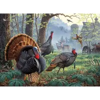 Sunsout Puzzle Larry Zach - Old Tom's Farm - 1000 pièces