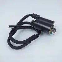 Sifam Bobine D'allumage Ht Pour Moto Honda 600 Cb Fa Hornet Abs Pc41 2007 À 2013 Neuf