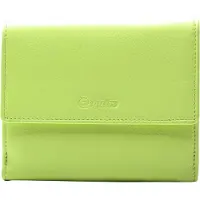 Esquire Cuir porte-monnaie Viktoria Wallet With Flap Lime vert clair
