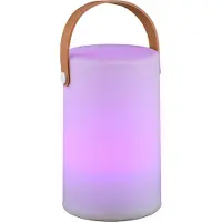 TRIO Lampe de table Aruba