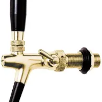 Ich-zapfe Robinet tireuse a biere, robinet compensateur - plaqué or, 10 mm version, longueur de fil: 35 mm