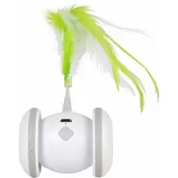 Laroy Racing roller jouet pour chat