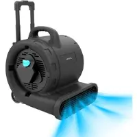 Cecotec Souffleur de sol - Ventilateur de séchage Blowindustry 6000 Flowfloor. 600W, 1350 tr/min, 3 vitesses