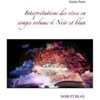 Books on Demand Interprétations des rêves en songes volume 6 Noir et blan
