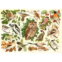 The House of Puzzles Puzzle Woodland Birds 500 XL Teile Karton