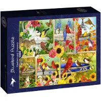 Bluebird Puzzle Casse-tête Oiseau bleu Casse-tête Plumes et Compagnie - 1000 Teile
