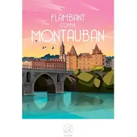 La Loutre puzzels Puzzle Flambant comme MONTAUBAN - 1000 pièces