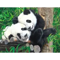 Sunsout Puzzle Pièces XXL - Copains dans le Bambou - 200 à 499 pièces