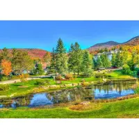 Bluebird Puzzle Puzzle Stowe, Vermont, USA - 1000 pièces