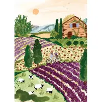 Pieces & Peace Puzzle Provence - 2000 pièces