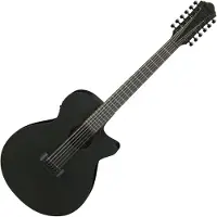 Ibanez AEG1221BOT Black Out