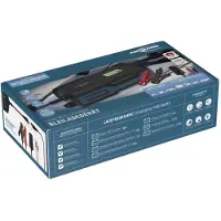 Ansmann Chargeur de batterie au plomb BC 6-12V / 10 A (10 A, 12V, 6V)