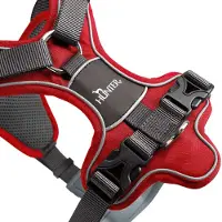 Hunter harnais Divo, couleur:rouge/gris, tailles:M