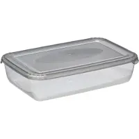 PLAST TEAM Vertriebs GmbH plast team Boîte de congélation Polar 1,9 litre gris rectangulaire
