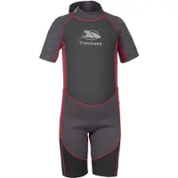 Trespass Milo 3 Mm Junior Short Sleeve Back Zip Shorty Gris 5-6 Years Garçon