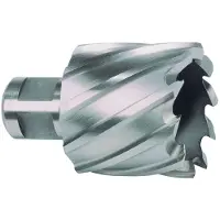 RUKO Carottier Diamètre 16mm HSS-Co Longueur 30mm Weldon - 108216E