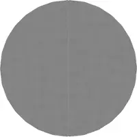 vidaXL Toile de fond de piscine Gris clair Ø244 cm Polyester Géotextile
