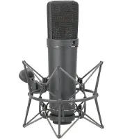 Neumann U 87 Ai mt Studio set micro à condensateur large membrane